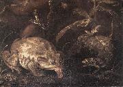 SCHRIECK, Otto Marseus van Still-Life with Insects and Amphibians (detail) qr oil painting reproduction